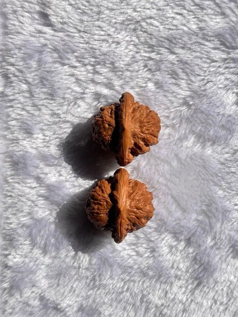 41 Big-Eared Cheeky Walnuts